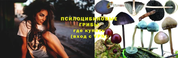ПСИЛОЦИБИНОВЫЕ ГРИБЫ Алзамай
