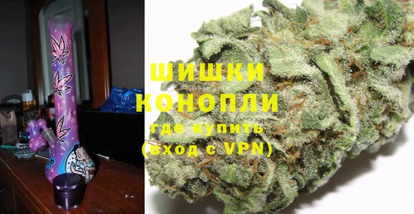 ПСИЛОЦИБИНОВЫЕ ГРИБЫ Алзамай