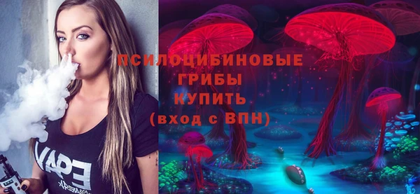 ПСИЛОЦИБИНОВЫЕ ГРИБЫ Алзамай